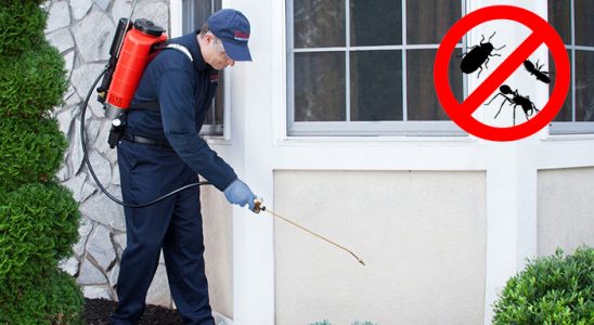 Doğanyol Gümüşkurt İlaçlama böcek ilaçlama ve haşere kontrolü — ilaclama-tr.com
